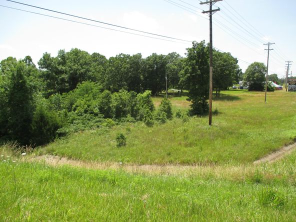 Hwy 254 Owens Lakeside Manor Tract East And F: Hwy 254 Owens Lakeside Manor Tract East And F, Hermitage, MO 65668